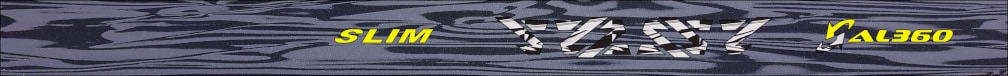 C1